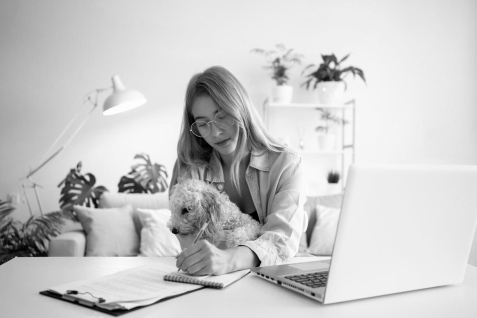Session de travail collaboratif sur la planification financière événementielle
